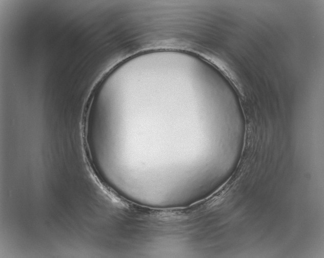 X0000073830998200608311904