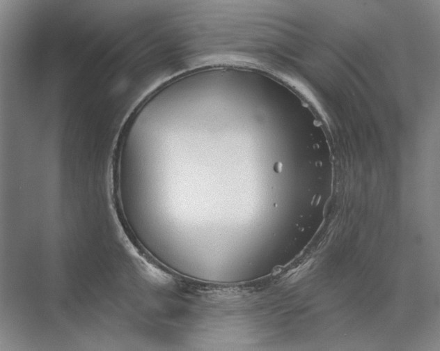 X0000073830999200608311904