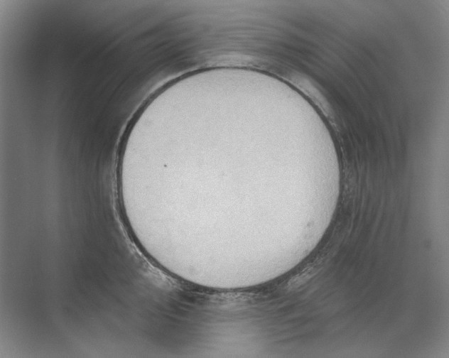 X0000073831000200608311904