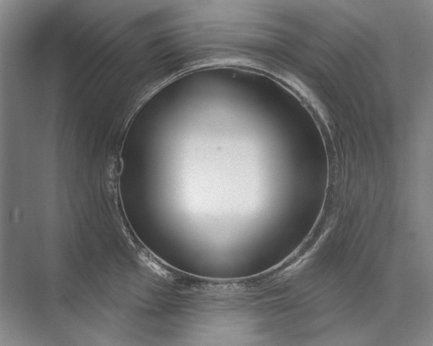 X0000073831001200608311904