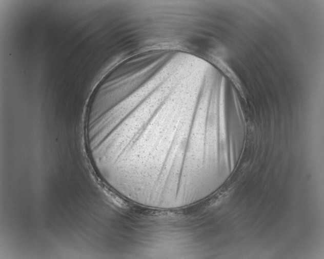 X0000073831002200608311904