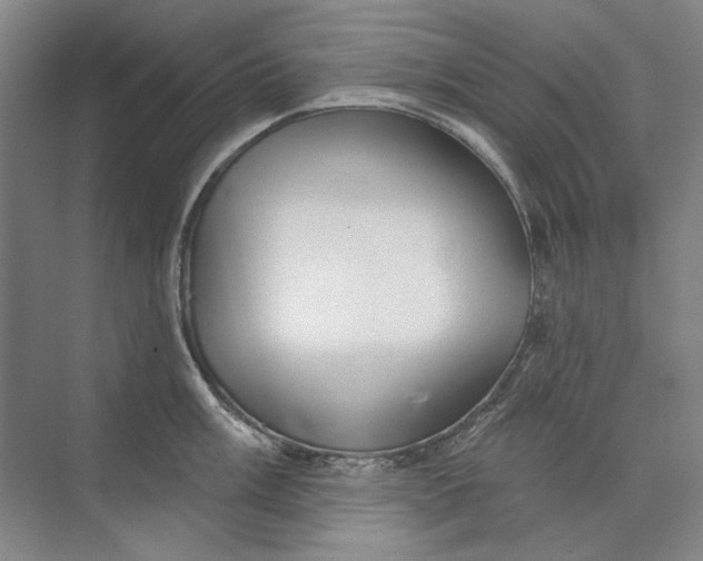 X0000073831003200608311904