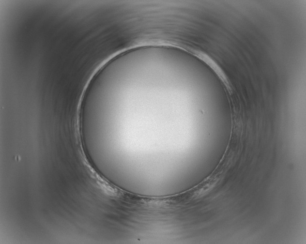 X0000073831004200608311904