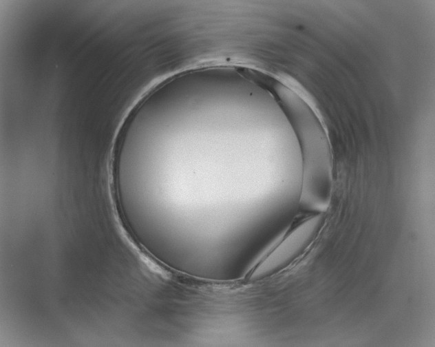 X0000073831005200608311904