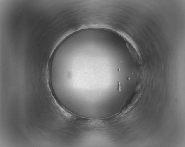 X0000073831006200608311904