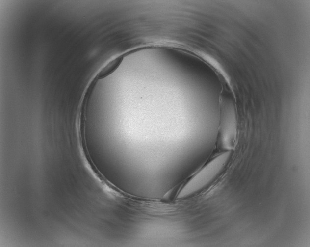 X0000073831007200608311904