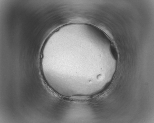 X0000073831008200608311903