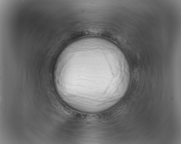 X0000073831009200608311903