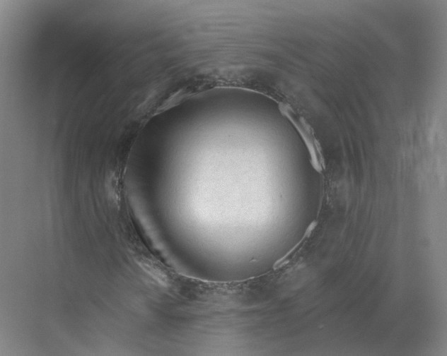 X0000073831010200608311903