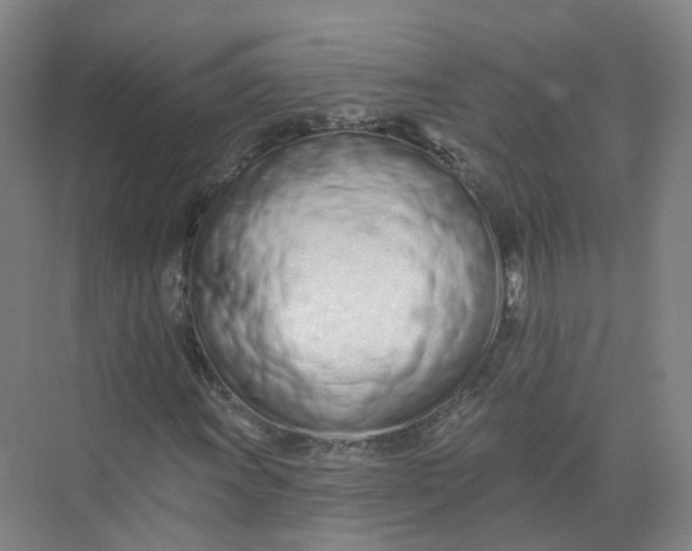 X0000073831011200608311903