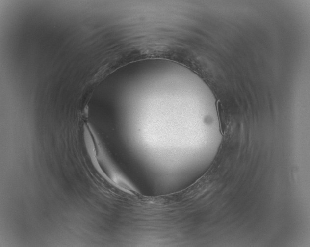 X0000073831012200608311903