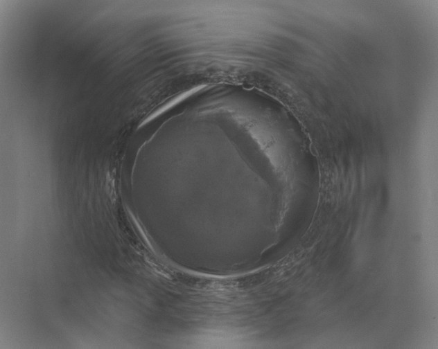 X0000073831013200608311903