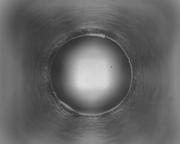 X0000073831014200608311903