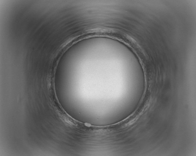 X0000073831017200608311903