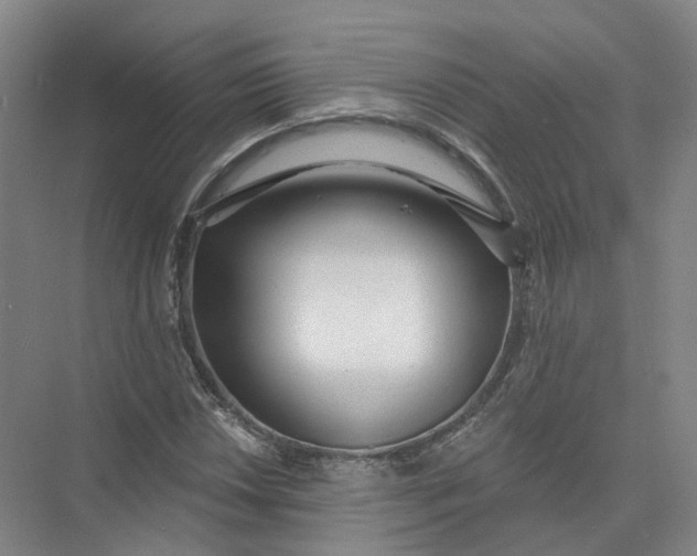 X0000073831018200608311903