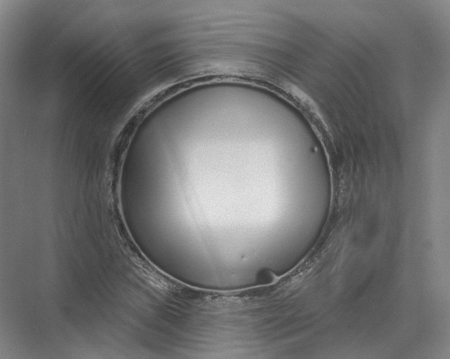 X0000073831019200608311903