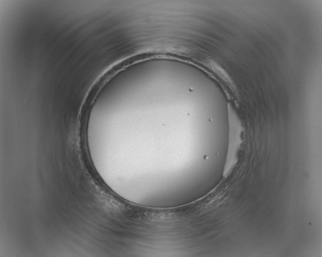 X0000073831020200608311903