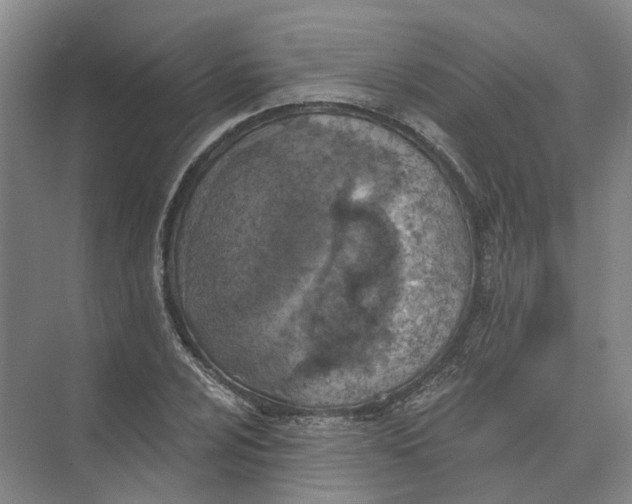 X0000073831024200608311903