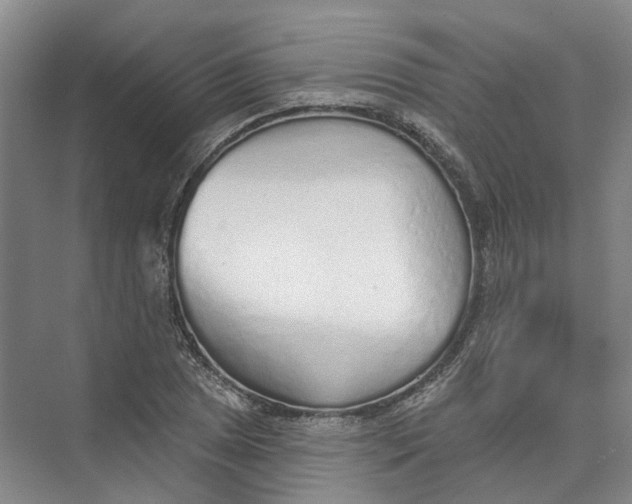 X0000073831025200608311903