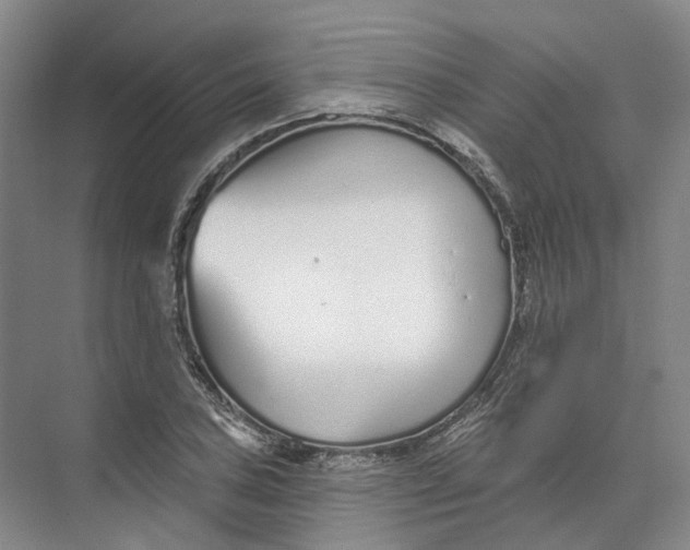 X0000073831027200608311903