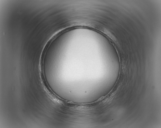 X0000073831028200608311903