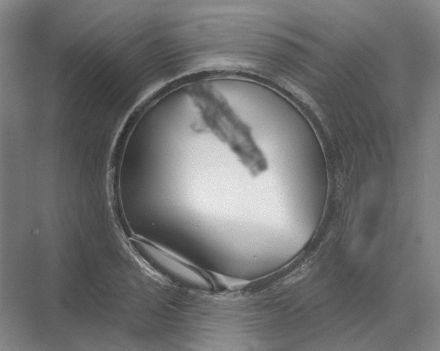 X0000073831029200608311903