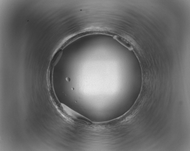 X0000073831030200608311903