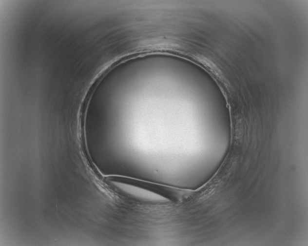 X0000073831031200608311903