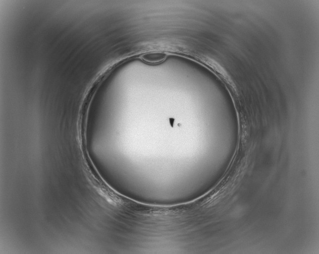 X0000073831035200608311903