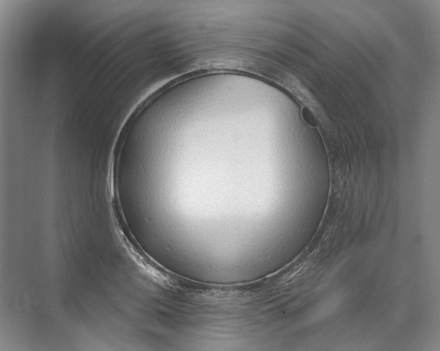 X0000073831036200608311903