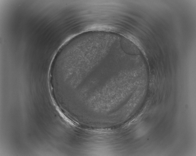 X0000073831037200608311903