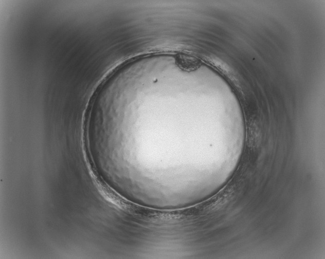 X0000073831039200608311903