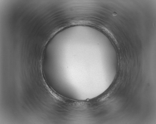 X0000073831041200608311903