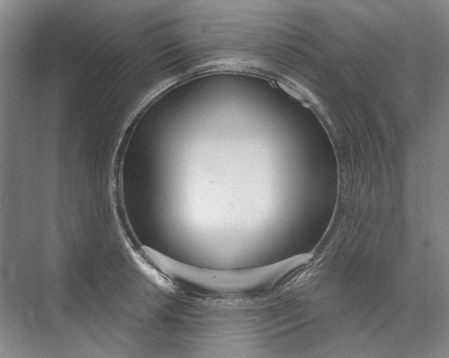 X0000073831042200608311903