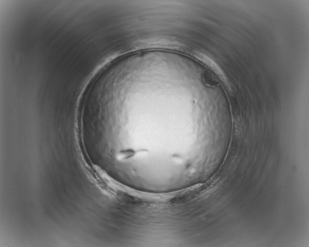 X0000073831043200608311903