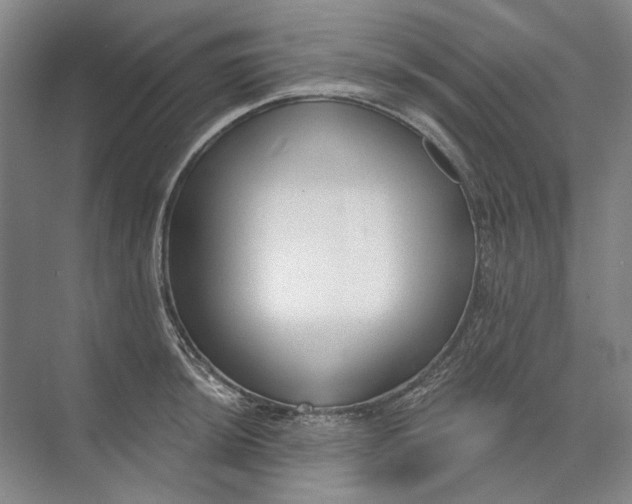 X0000073831044200608311903