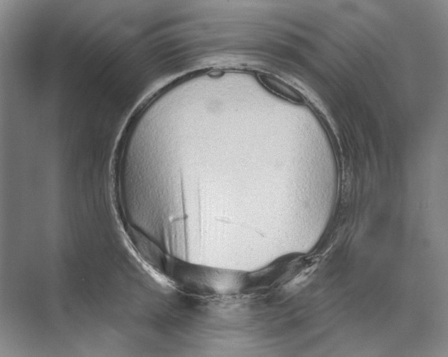 X0000073831045200608311903