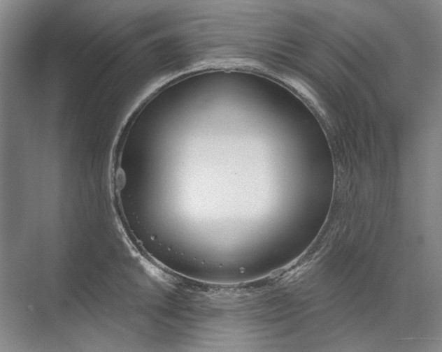 X0000073831046200608311903