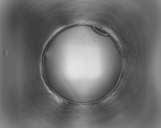 X0000073831048200608311903