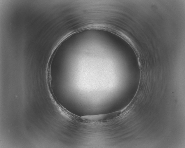 X0000073831050200608311903