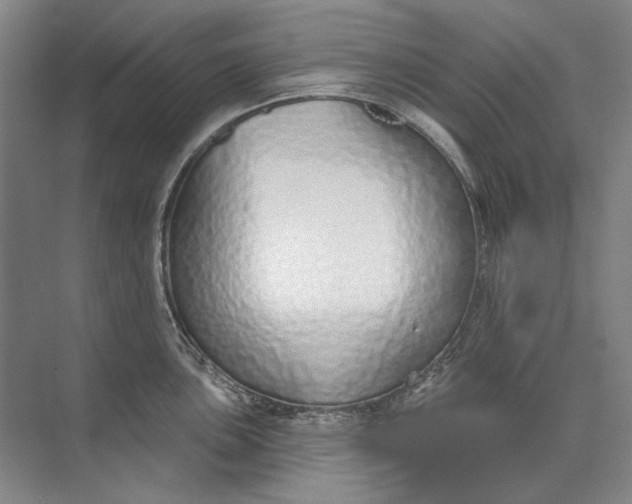 X0000073831051200608311903