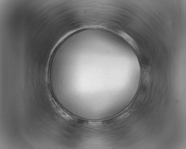 X0000073831052200608311903