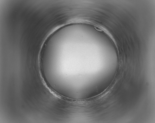 X0000073831053200608311903