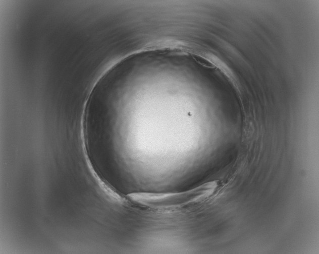 X0000073831055200608311903