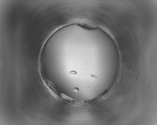 X0000073831056200608311903