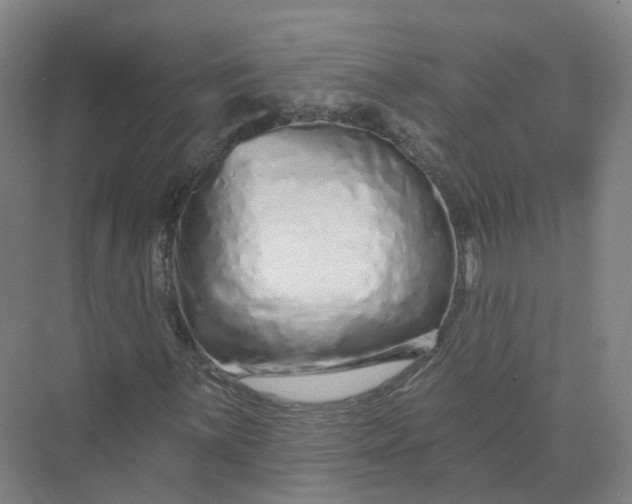 X0000073831059200608311903