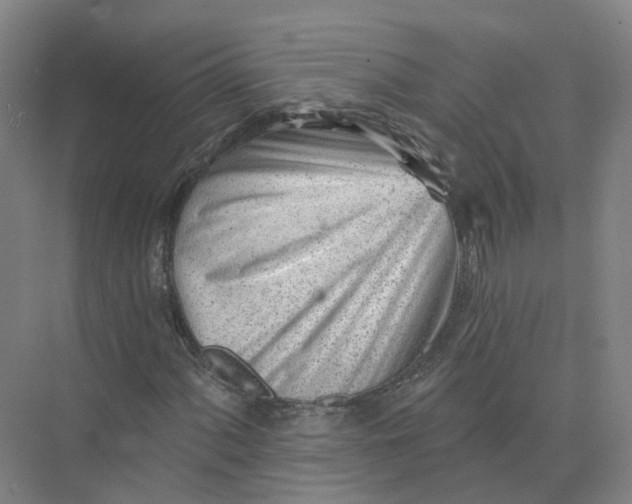 X0000073831060200608311903