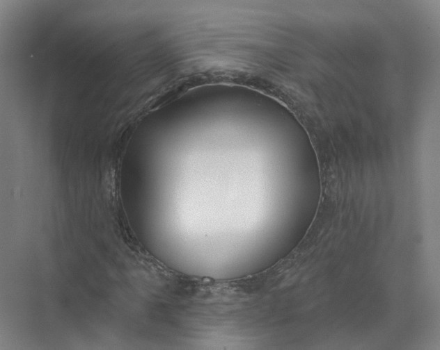 X0000073831061200608311903