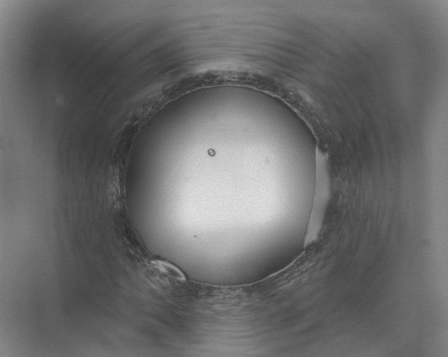 X0000073831062200608311903