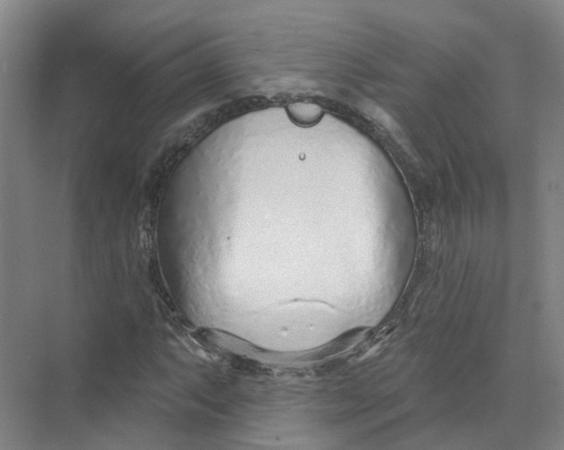 X0000073831063200608311903